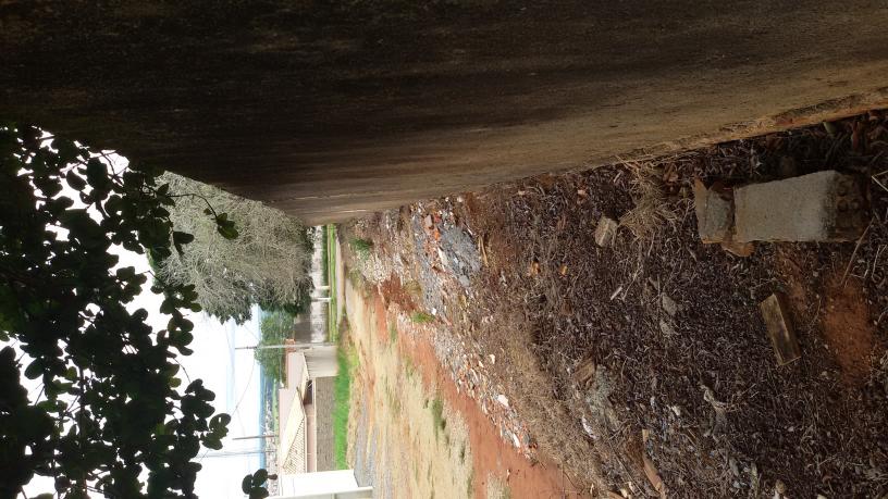 Reforma do muro da escola