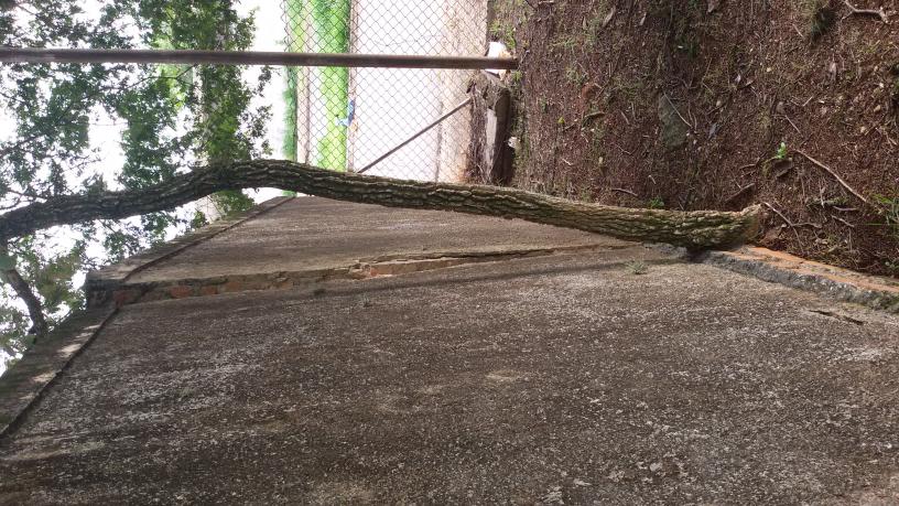 Reforma do muro da escola