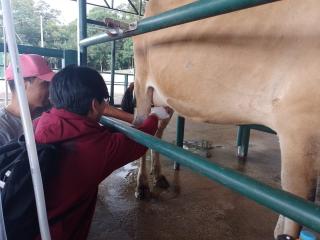 SIPAT e Semana Paulo Freire 2022