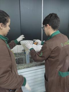 SIPAT e Semana Paulo Freire 2022