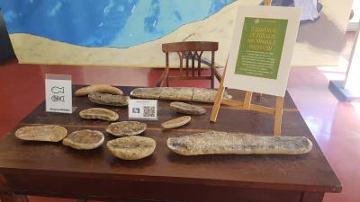 Visita a USP - agosto de 2022