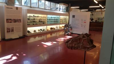 Visita a USP - agosto de 2022