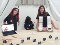 Semana do Eixo de Gestão e Negócios 2023