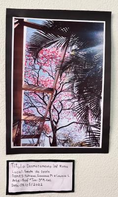 Projeto OlhArte do professor Heverton e seus alunos