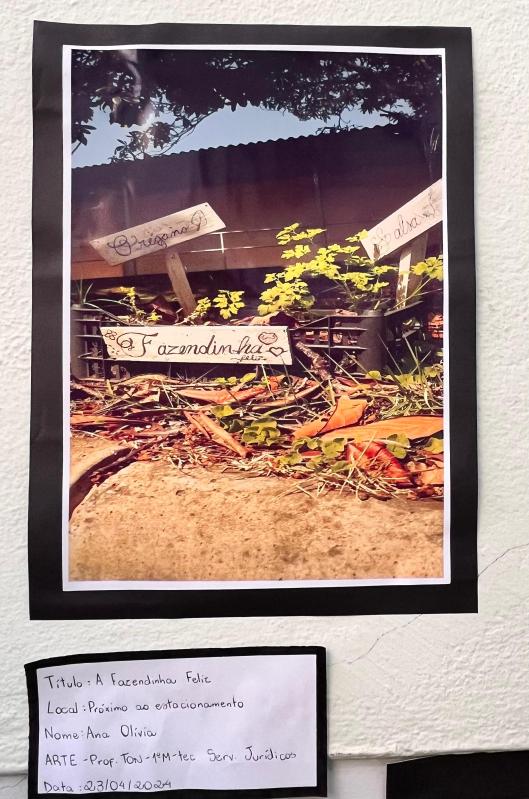 Projeto OlhArte do professor Heverton e seus alunos