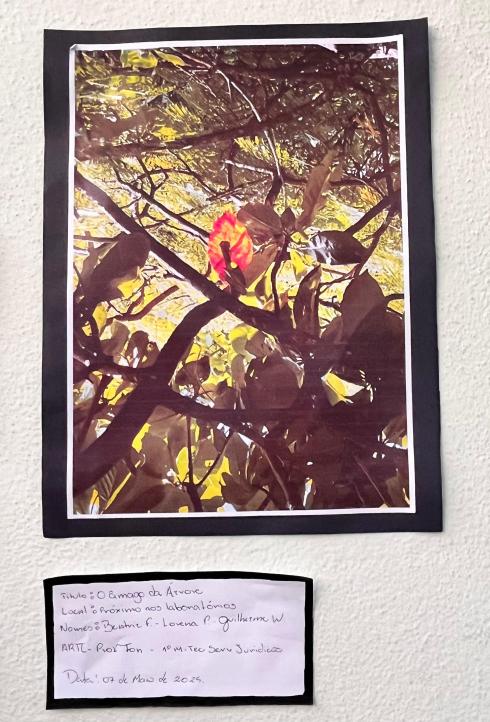 Projeto OlhArte do professor Heverton e seus alunos