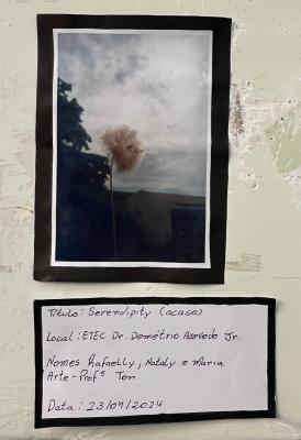 Projeto OlhArte do professor Heverton e seus alunos