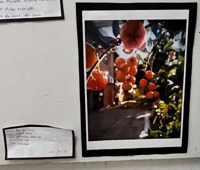 Projeto OlhArte do professor Heverton e seus alunos