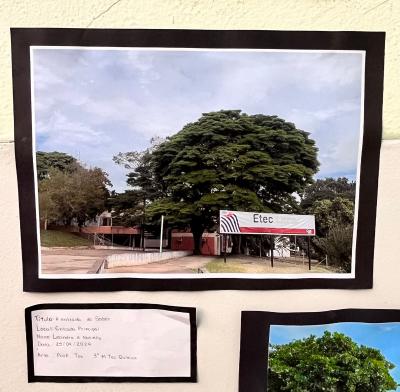 Projeto OlhArte do professor Heverton e seus alunos