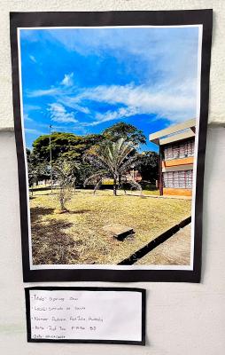 Projeto OlhArte do professor Heverton e seus alunos