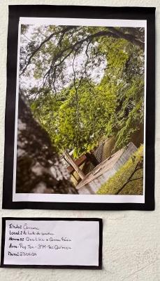 Projeto OlhArte do professor Heverton e seus alunos