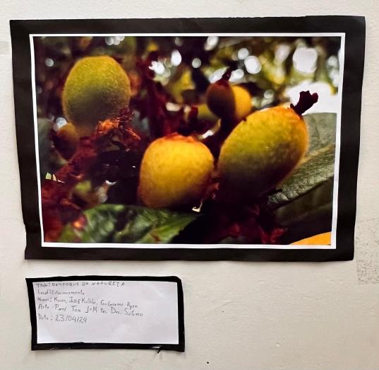 Projeto OlhArte do professor Heverton e seus alunos