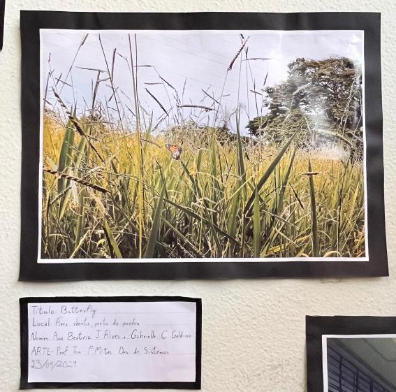 Projeto OlhArte do professor Heverton e seus alunos