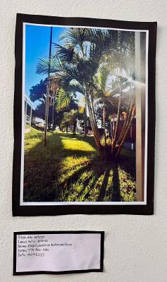 Projeto OlhArte do professor Heverton e seus alunos