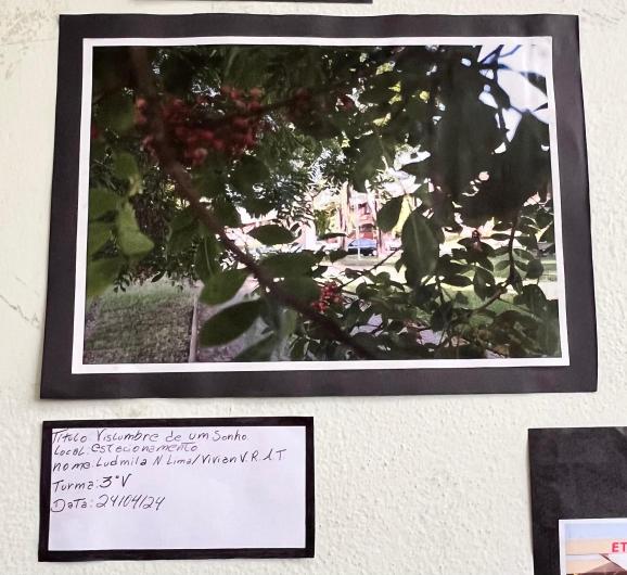 Projeto OlhArte do professor Heverton e seus alunos