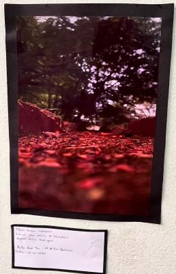 Projeto OlhArte do professor Heverton e seus alunos