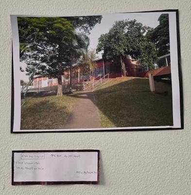 Projeto OlhArte do professor Heverton e seus alunos