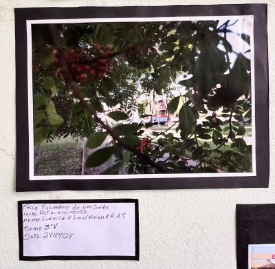 Projeto OlhArte do professor Heverton e seus alunos