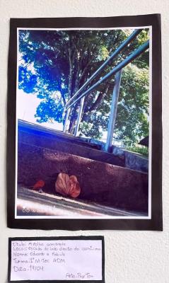 Projeto OlhArte do professor Heverton e seus alunos