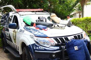 Feira de Profissões e Empreendedorismo de 2024