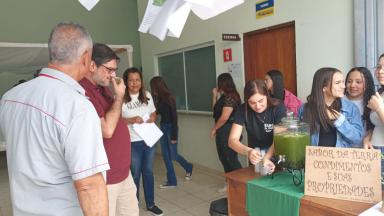 Feira de Profissões e Empreendedorismo de 2024 - álbum 2